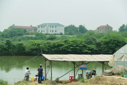 山东休闲垂钓农家乐