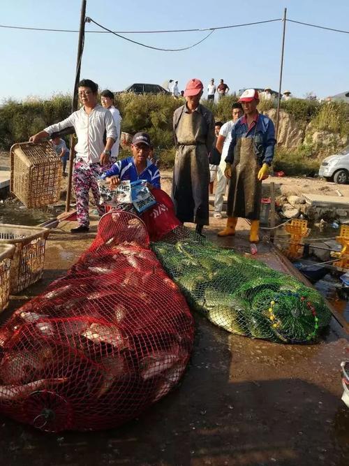 静海花园垂钓园开业时间