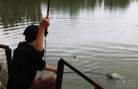 野钓小黑钓鱼视频买鱼竿