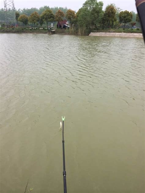 无锡雨润冷鲜肉批发