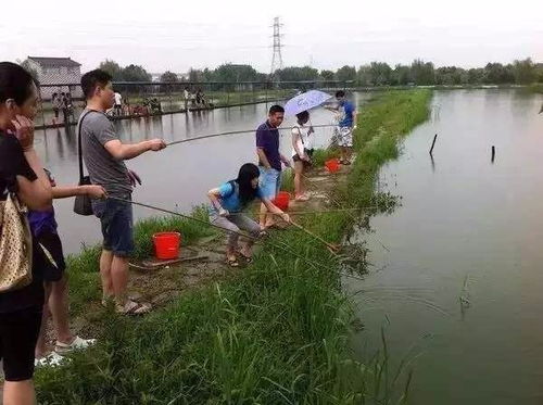 杭州小龙虾垂钓基地