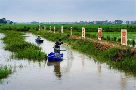 小龙虾垂钓基地