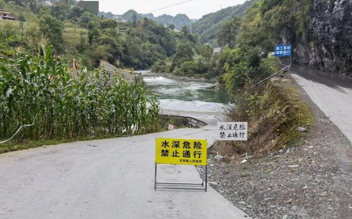 略阳县哪家鱼最好吃