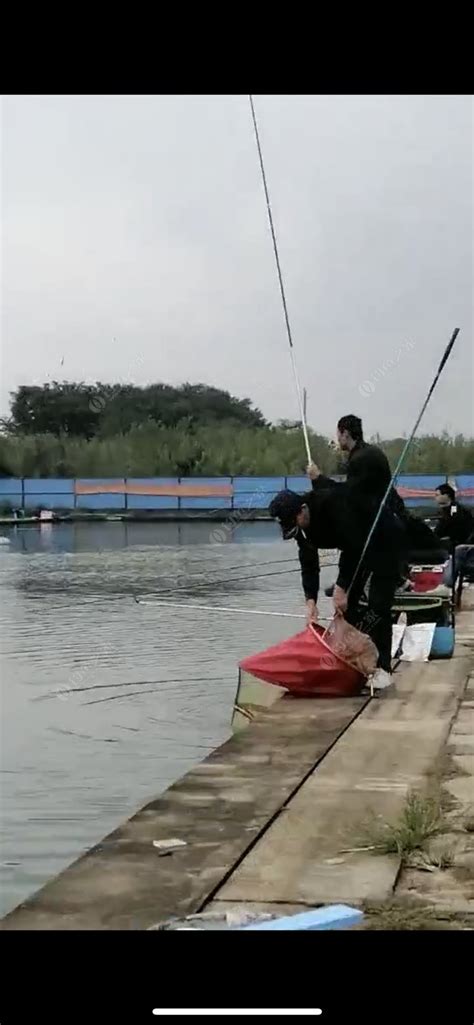 河鱼乡垂钓