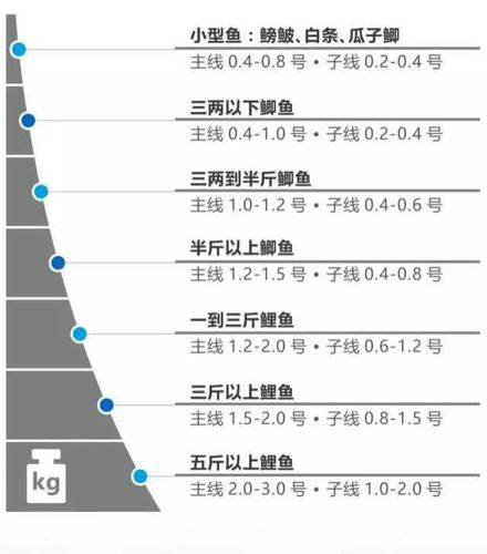 垂钓260天第104天