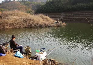 中国最大水库排名