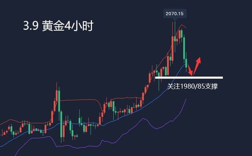 市场预期将迎来新的波动黄金回落压力加大