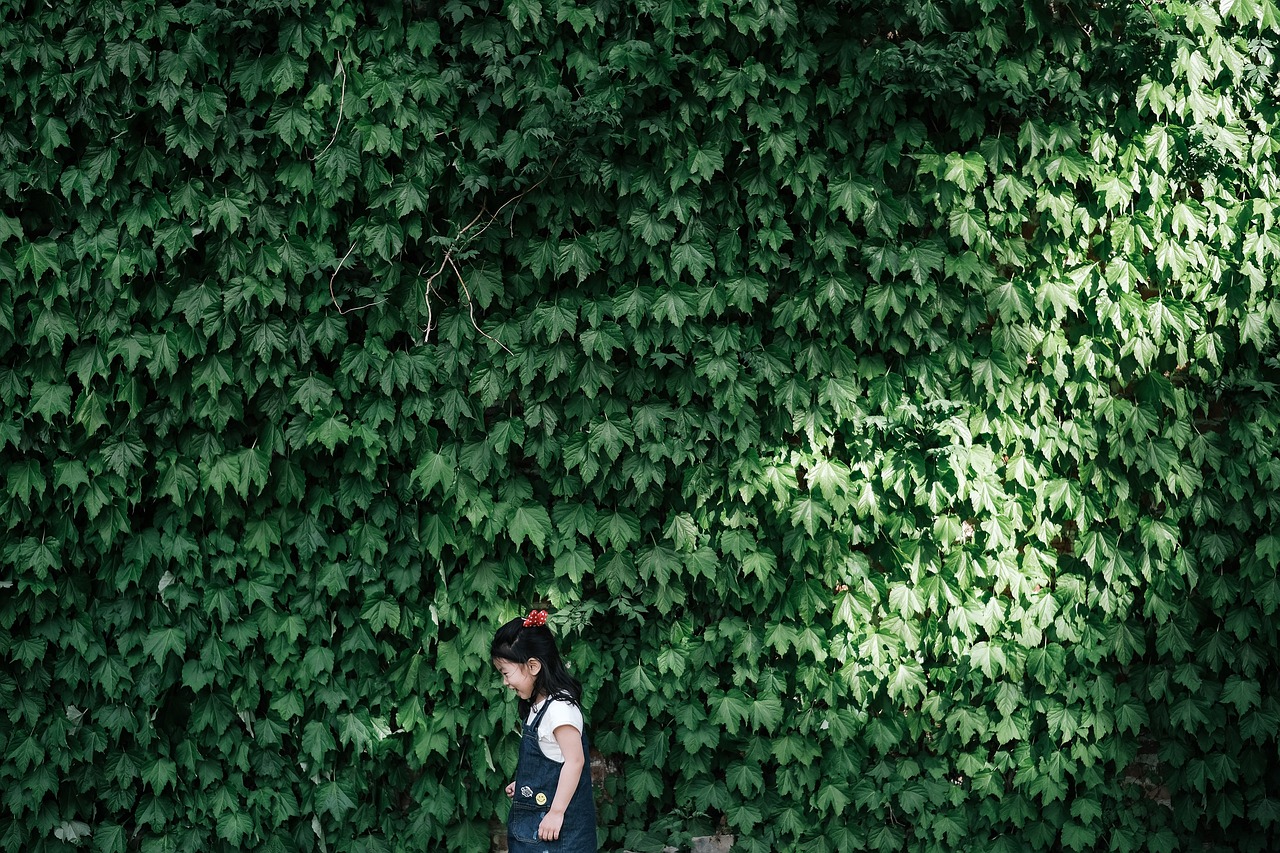 黎巴嫩女孩的不幸遭遇，勇敢面对逆境的力量