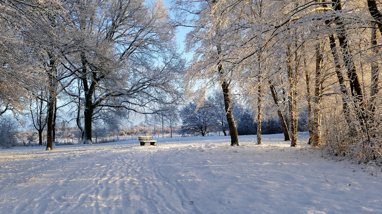 穿越时空的冰雪乐章，哈尔滨至阿城的冰雪奇缘之旅