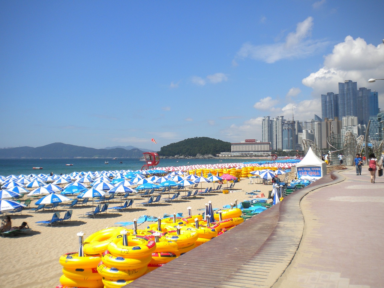 沿海多地海水倒灌现象及其影响